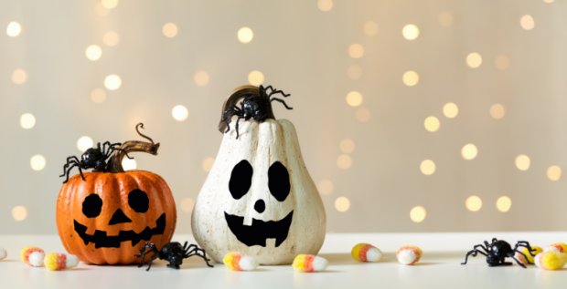 Spooktacular Getaways: Halloween Family Holidays